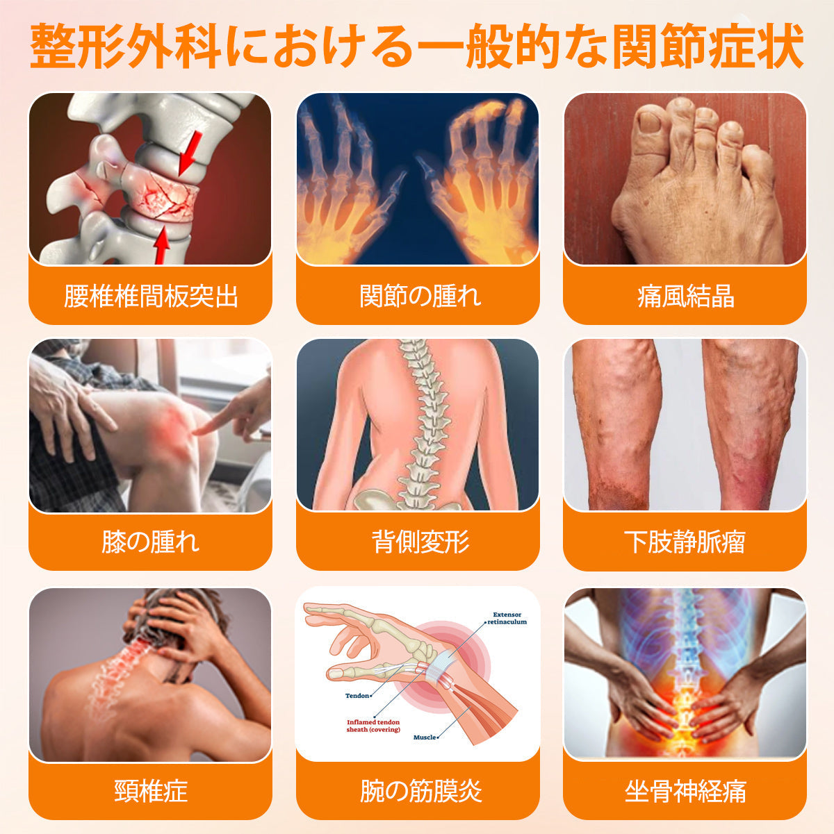 BSWELL® ハチ毒エキス配合 関節ケアクリーム｜関節サポート・膝・腰・肩の違和感ケア｜ニュージーランド産原料使用 高機能リペアクリーム